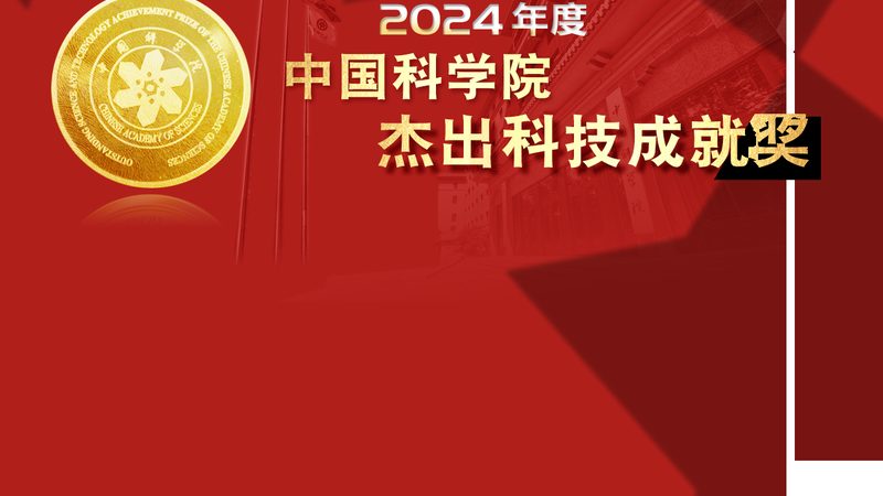 上海SaaS平台API接口参数集成费用解析